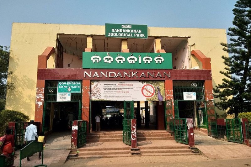 Nandankanan Zoological Park: Visitor Guide