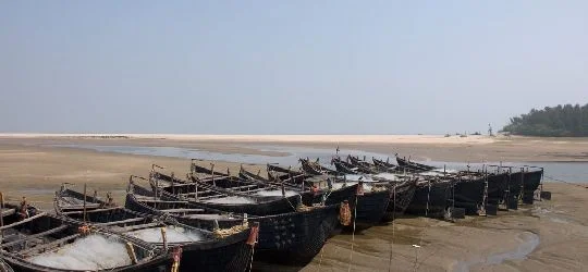 Talasari Beach: Visitor Guide