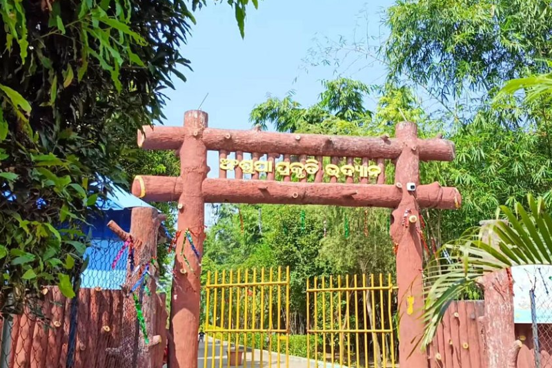 Ansupa Lake: Picnic Spot, Things to Do & Travel Guide
